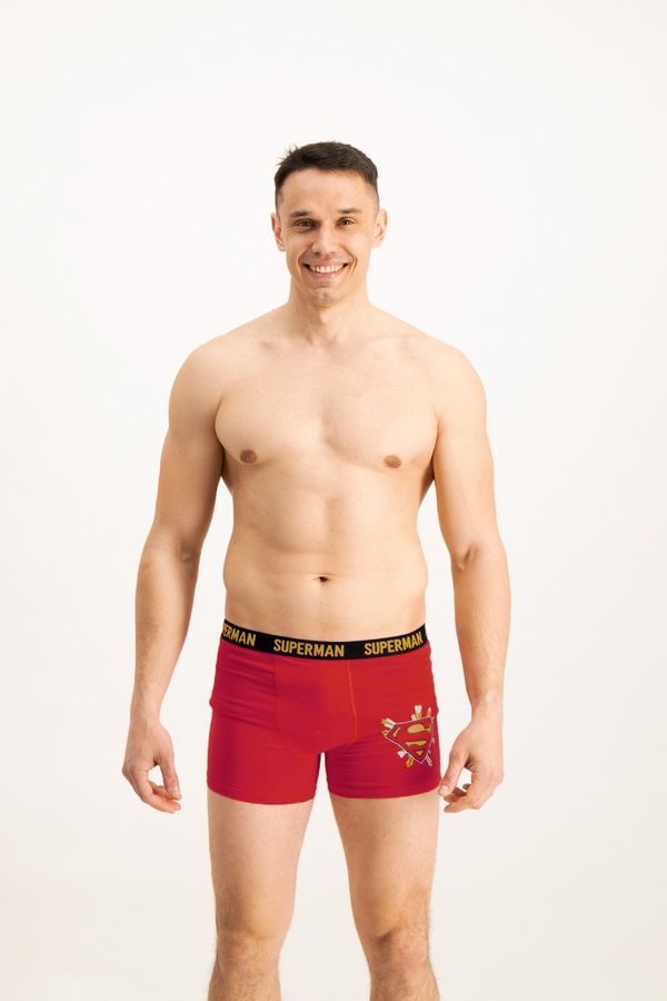 Licensed Men's boxers Superman Love - Frogies