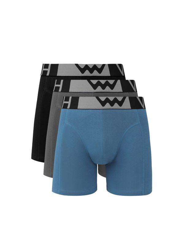 VUCH Men's boxers VUCH