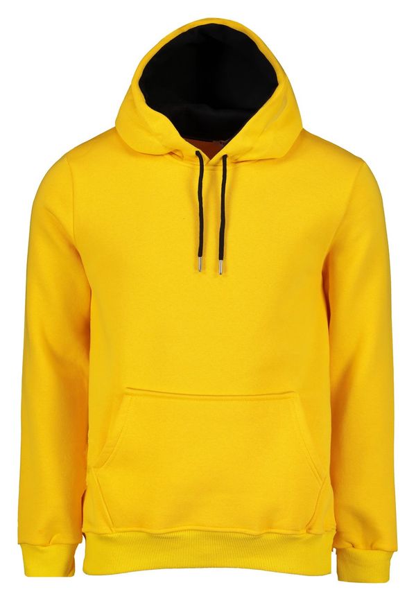 Aliatic Men's hoodie Aliatic