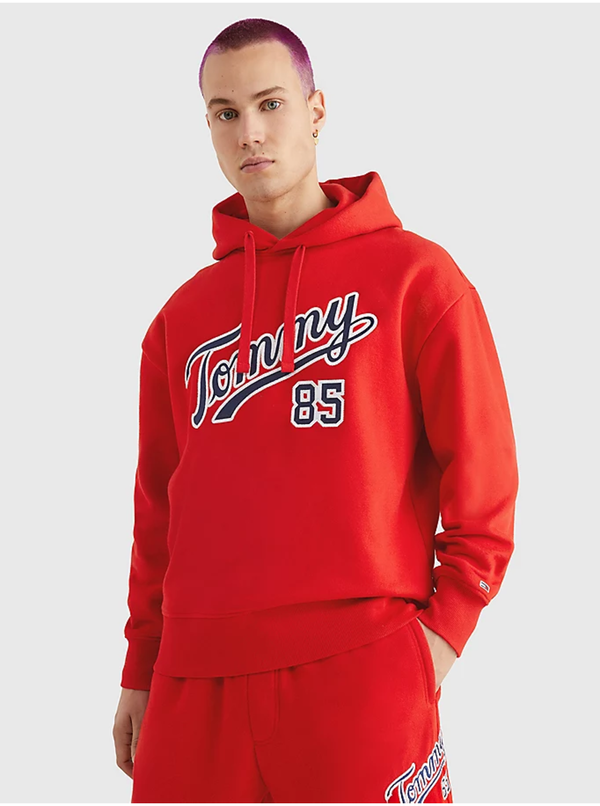 Tommy Hilfiger Men's hoodie Tommy Hilfiger