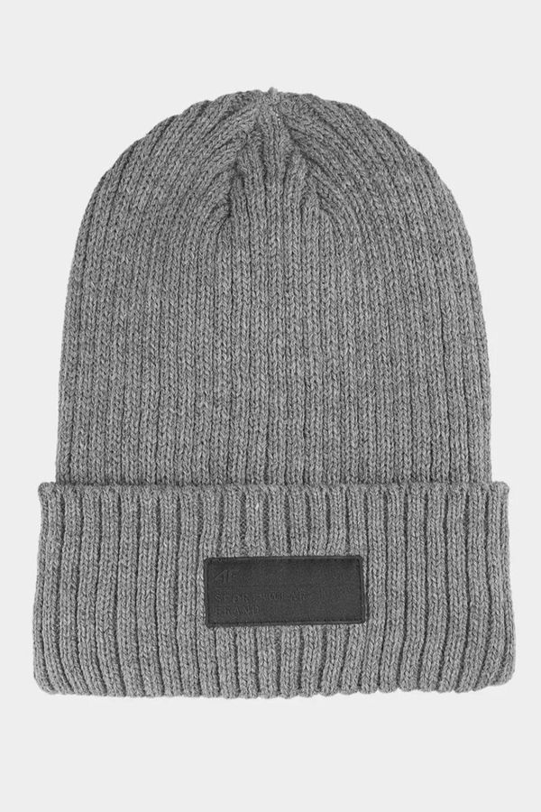 Kesi Men's Insulated Winter Hat 4F Grey