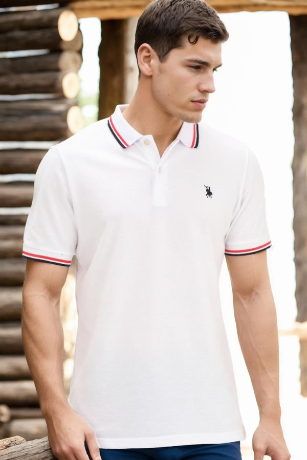 dewberry Men's polo shirt dewberry