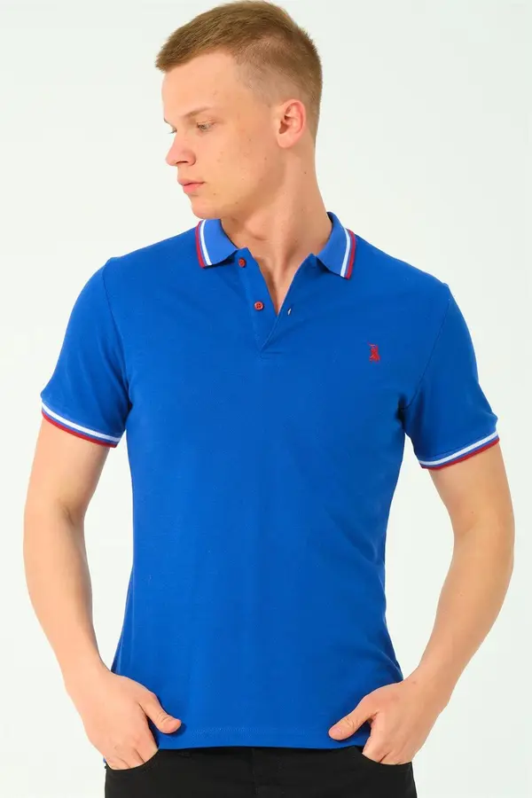 dewberry Men's polo shirt dewberry