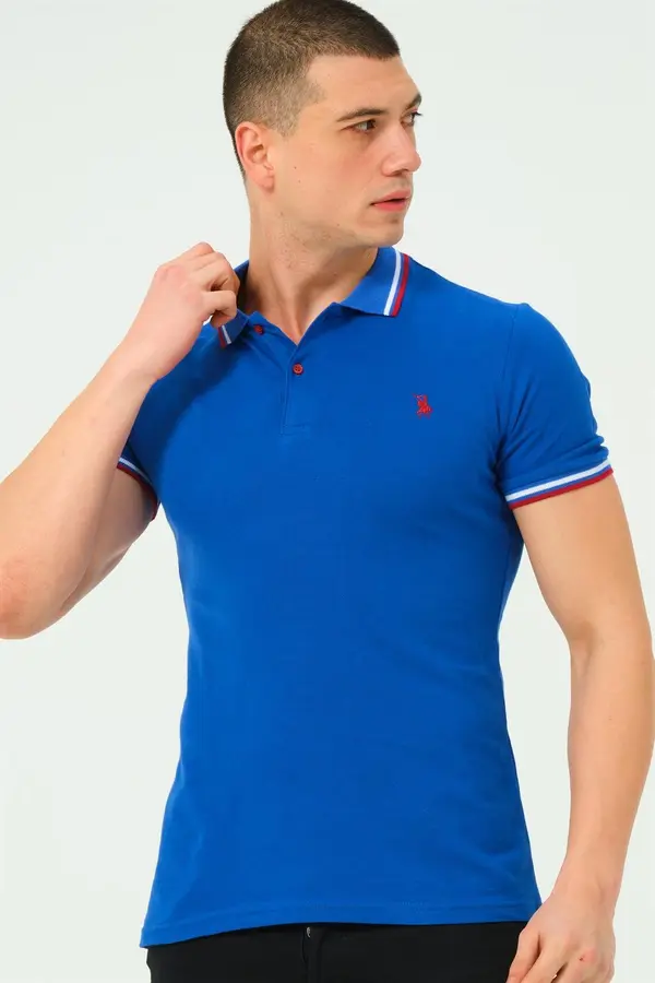 dewberry Men's polo shirt dewberry