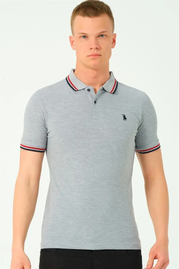 dewberry Men's polo shirt dewberry