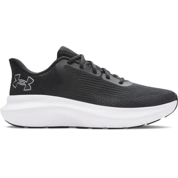 Under Armour Men's shoes Under Armour Charged Rogue 5