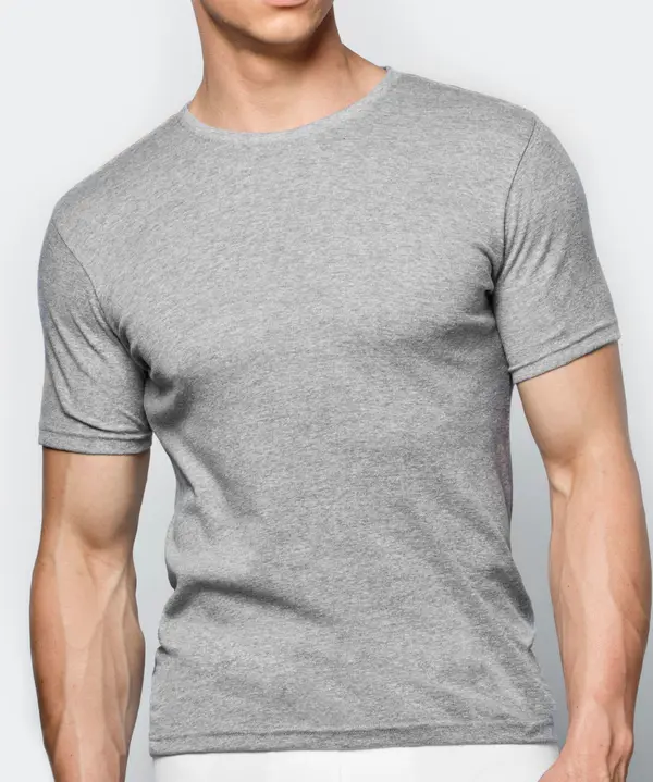 Atlantic Men's short-sleeved T-shirt ATLANTIC - light grey