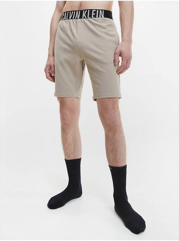 Calvin Klein Men's shorts Calvin Klein