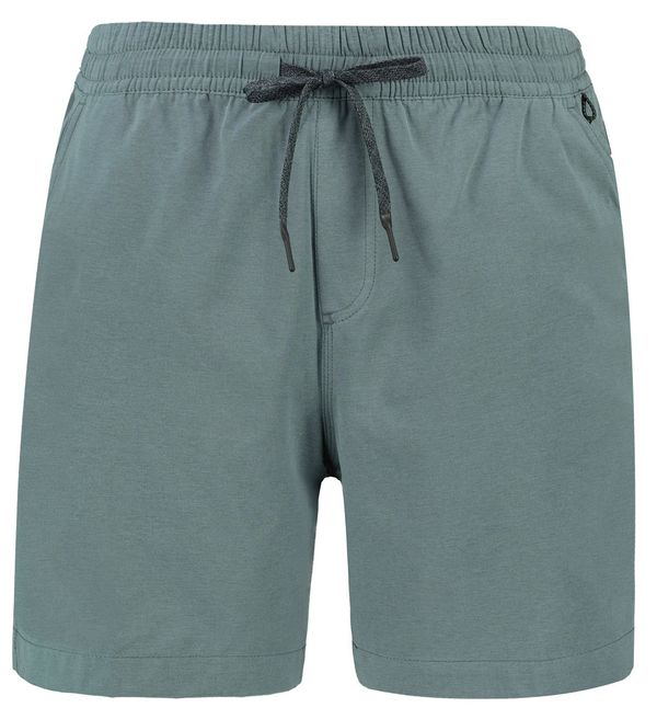 Quiksilver Men's shorts Quiksilver TAXER HEATHER AMPHIBIAN 18