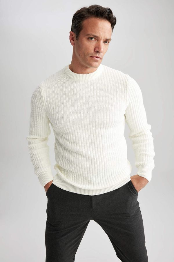 DEFACTO Men's sweater DEFACTO