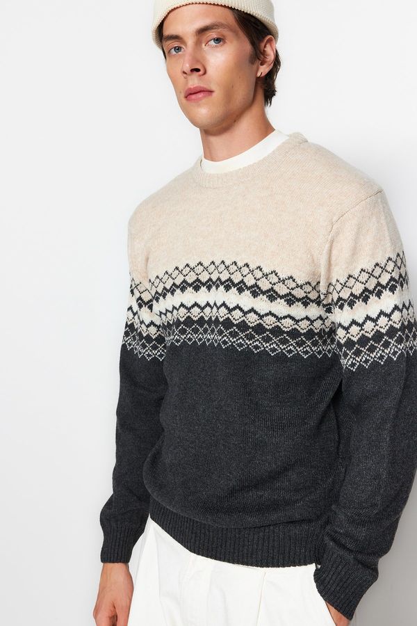 Trendyol Men's sweater Trendyol