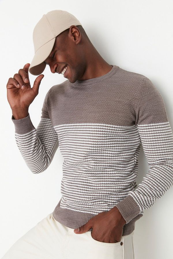 Trendyol Men's sweater Trendyol Striped