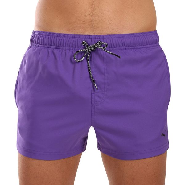 Puma Men's swimwear Puma purple