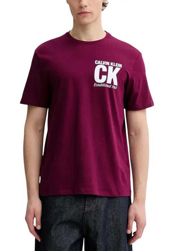Calvin Klein Moška majica s kratkimi rokavi Calvin Klein