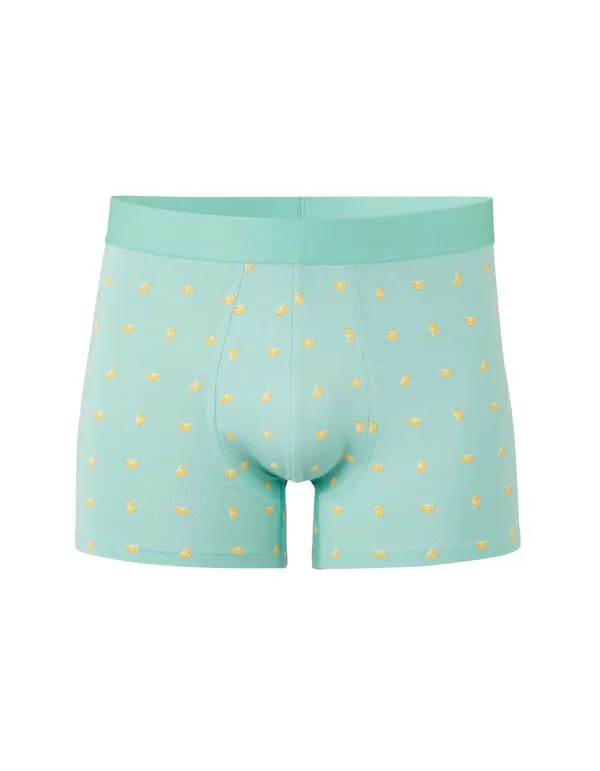Celio Moške boksarice Celio Libocitrus