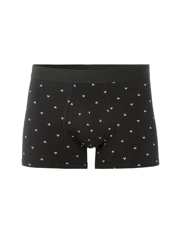 Celio Moške boksarice Celio Pibomini3