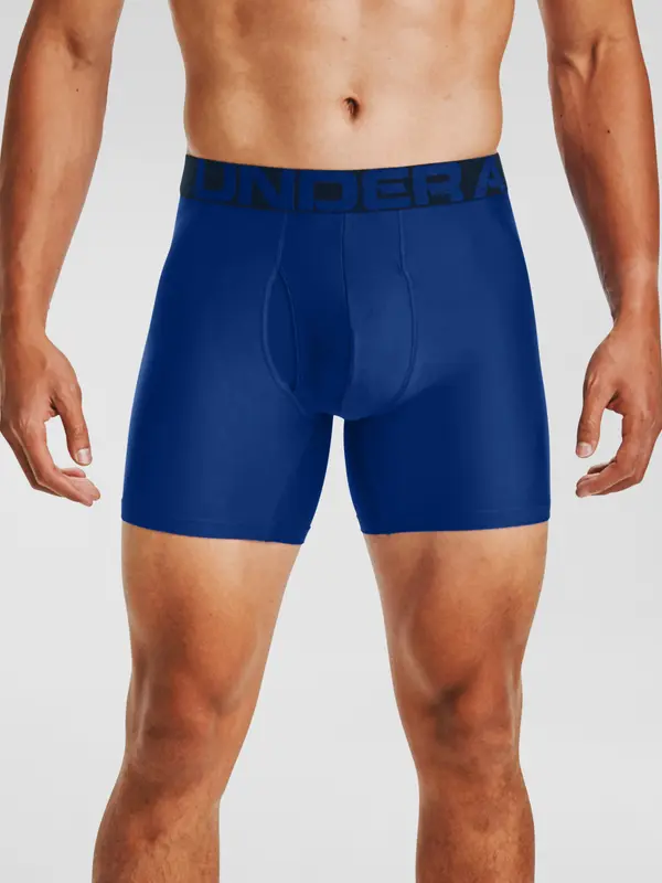 Under Armour Moške boksarice Under Armour UA Tech 6in 2 Pack