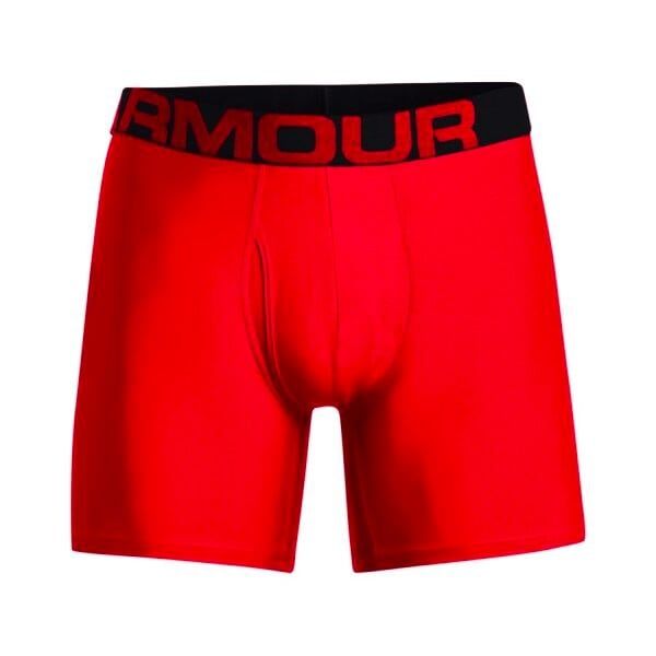 Under Armour Moške boksarice Under Armour UA Tech 6in 2 Pack