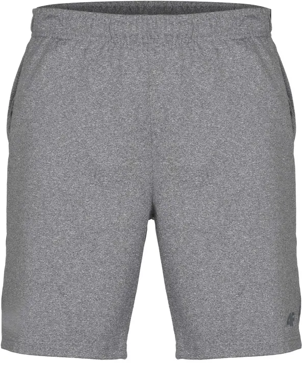 4F Moške kopalke 4F