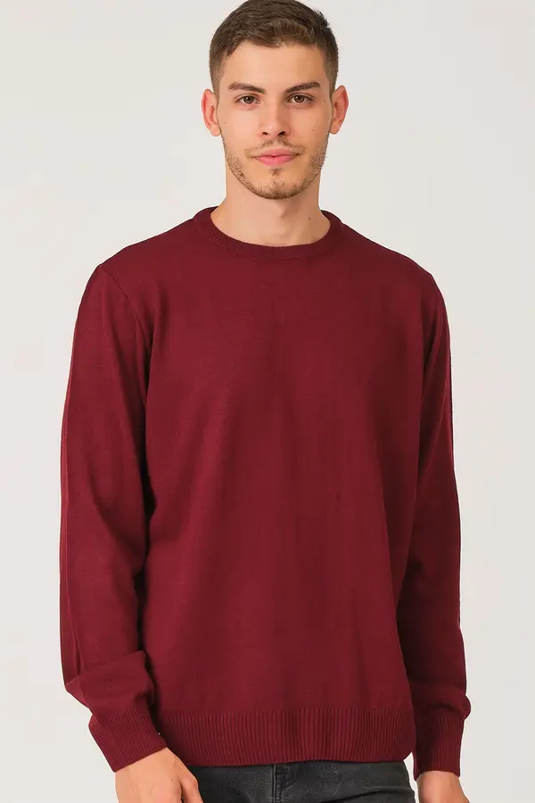 dewberry Moški pulover dewberry