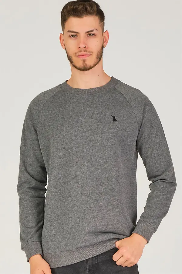 dewberry Moški pulover dewberry