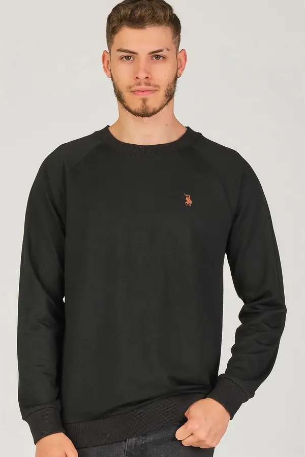 dewberry Moški pulover dewberry