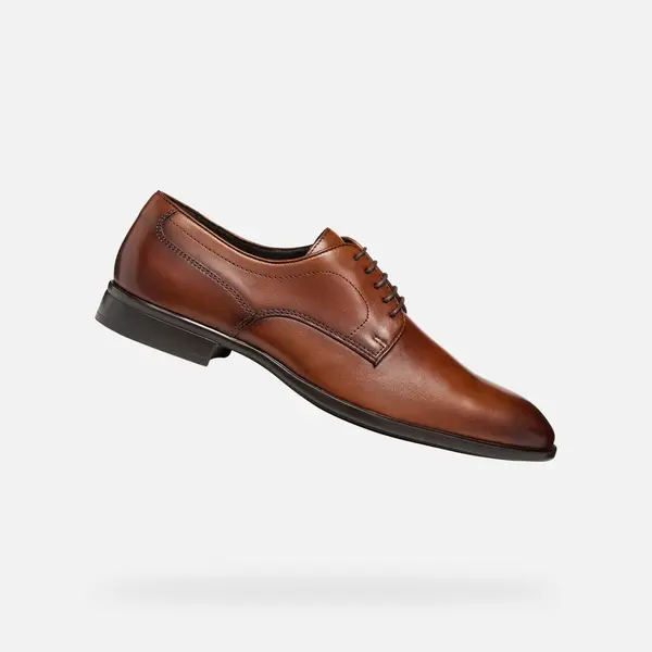 GEOX Moški rjavi formalni čevlji Geox Thalos