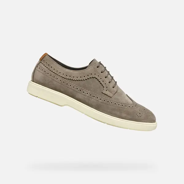 GEOX Moški sivi superge Geox Spherica EC17