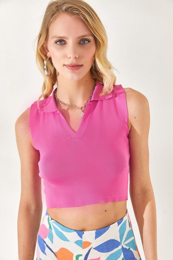 Olalook Olalook Women Fuchsia Polo Neck, Sleeveless Crop, Knitwear Blouse