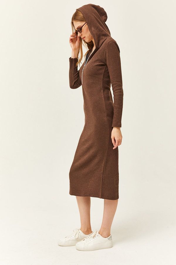 Olalook Olalook Women's Brown Zipper Hooded Pocket Thick Ribbed Midi Dress
