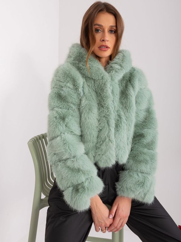 Fashionhunters Pistachio Women's Eco-Friendly Fur Jacket