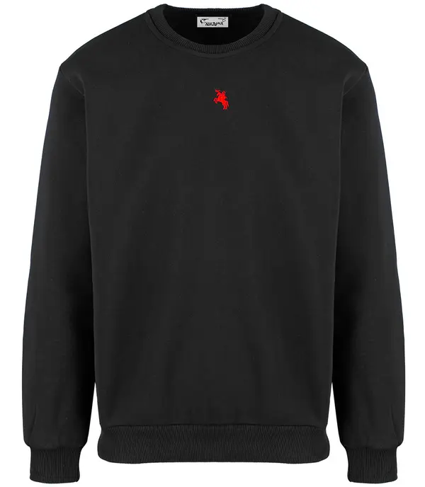 Pri Pri Men's warm sweatshirt with ozodbone embroidery