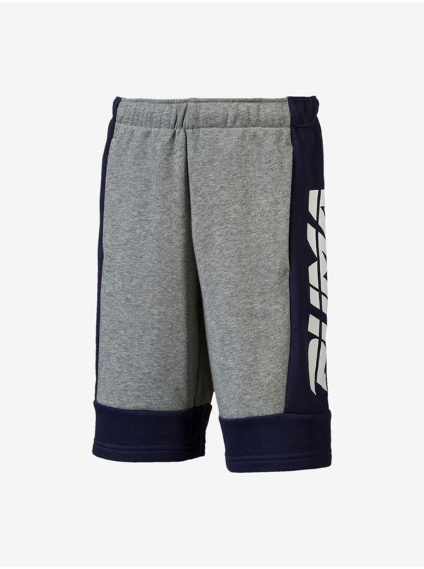 Puma Puma Alpha Bermudas B Medium Gray Heather Shorts