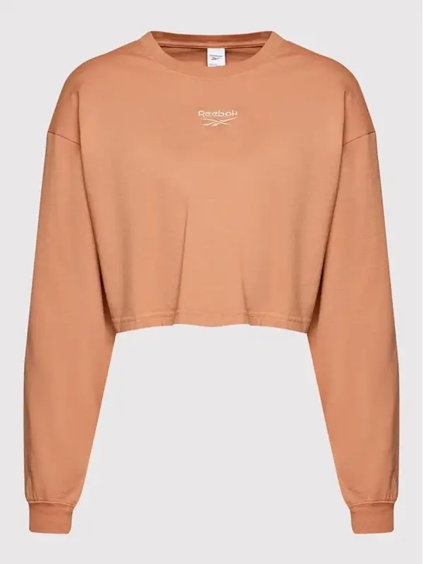 Reebok Reebok - Moška majica z dolgimi rokavi CL WDE