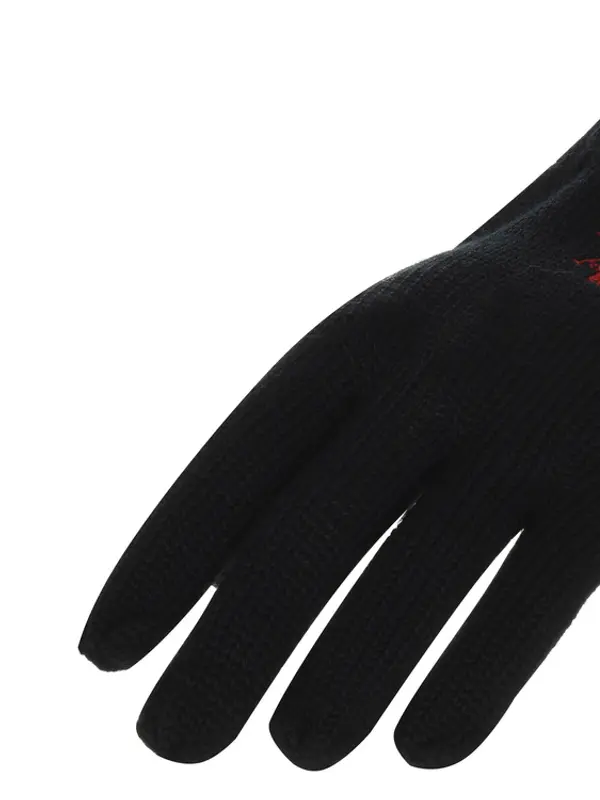 U.S. Polo Assn. Rokavice US Polo Assn. Noah