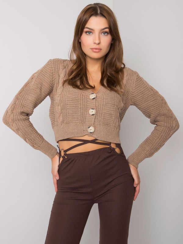 Fashionhunters RUE PARIS sweater in dark beige sweater