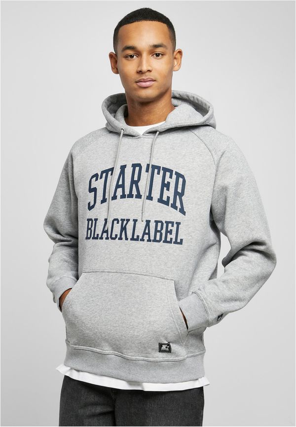 Starter Black Label Starter Black Label Raglan Hoody heathergrey