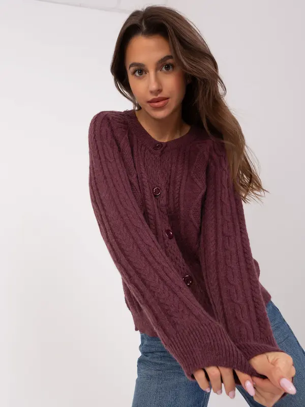 Wool Fashion Italia Sweater-AT-SW-2346-2.99P-Dark Purple