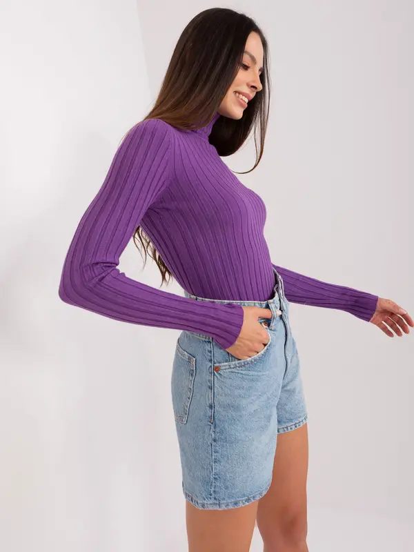 P-M Sweater-PM-SW-1087.09-dark purple