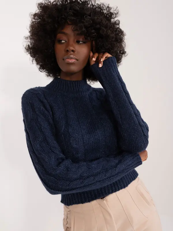 Mayflies Sweater-TW-SW-3001.05-navy blue