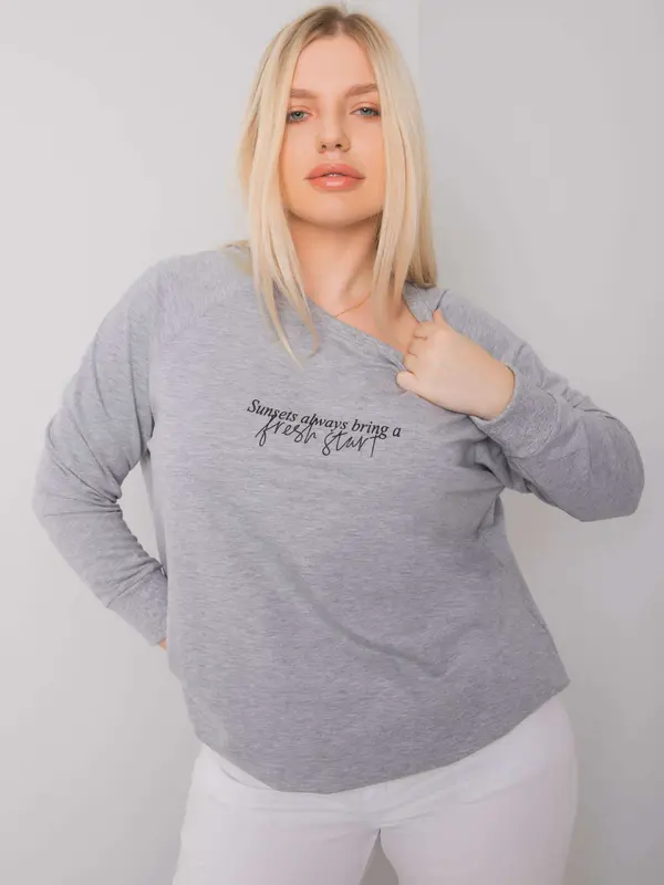 RELEVANCE Sweatshirt-RV-BL-7162.12P-grey
