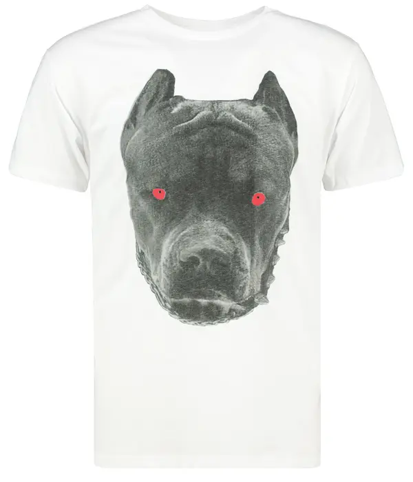 DStreet T-shirt męski biały Dstreet