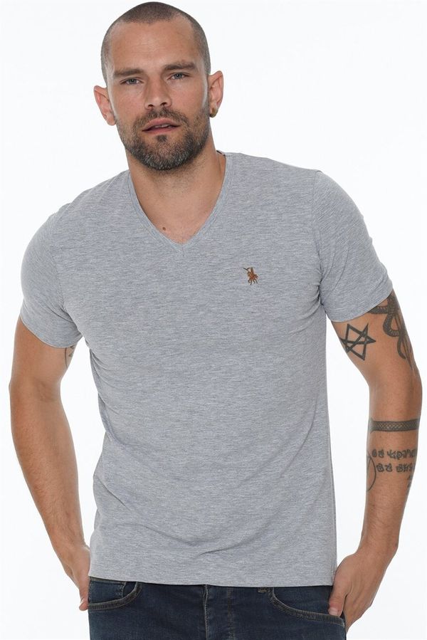 dewberry T8568 DEWBERRY V-NECK MEN'S T-SHIRT-GREY