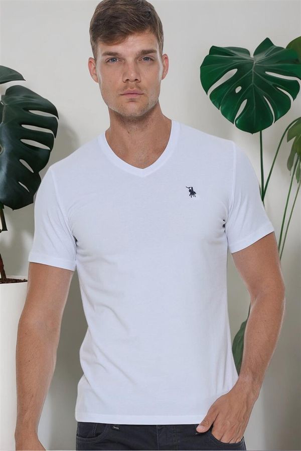 dewberry T8568 DEWBERRY V-NECK MEN'S T-SHIRT-LIGHT WHITE