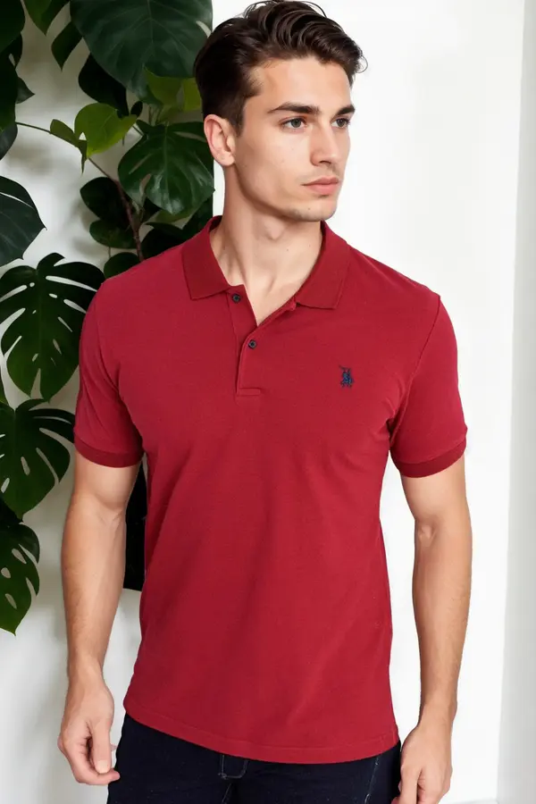 dewberry T9561 DEWBERRY MEN'S TSHIRT-BURGUNDY