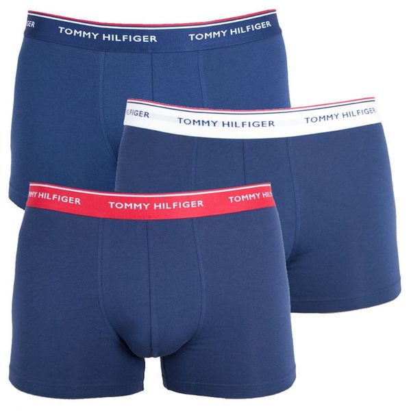 Tommy Hilfiger Tommy Hilfiger Pack of 3 Cotton Trunk Panties