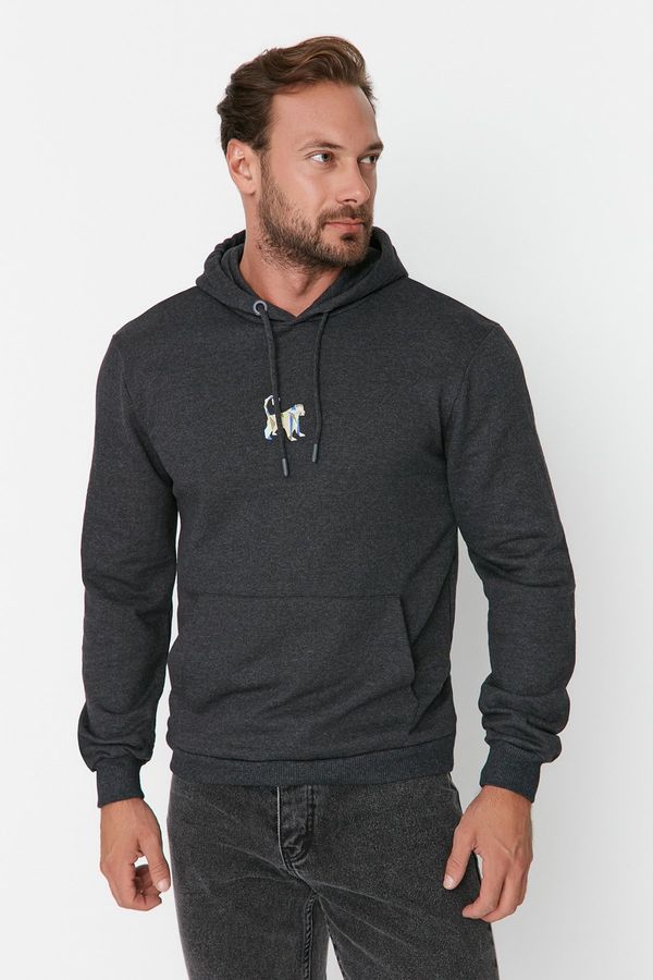 Trendyol Trendyol Anthracite Regular/Normal Cut Hooded Oversleeve Embroidered Sweatshirt