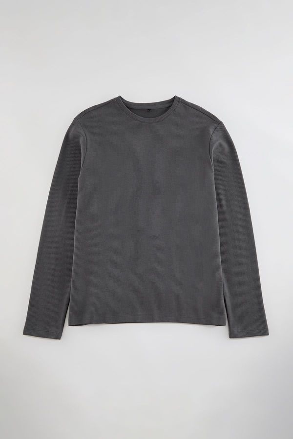 Trendyol Trendyol Anthracite Regular/Normal Cut Long Sleeve Basic Textured 100% Cotton Thick T-Shirt