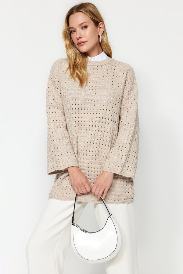 Trendyol Trendyol bež Relaxed Cut Openwork/Perforated Knitwear Knit pulover
