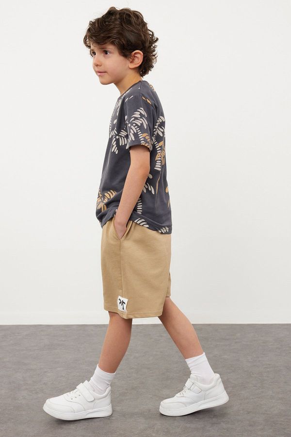 Trendyol Trendyol Boy's Anthracite Palm Tree Patterned T-shirt-Shorts Knitted Bottom-Top Set